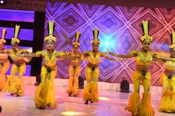 Mister Movie Pre Release Function